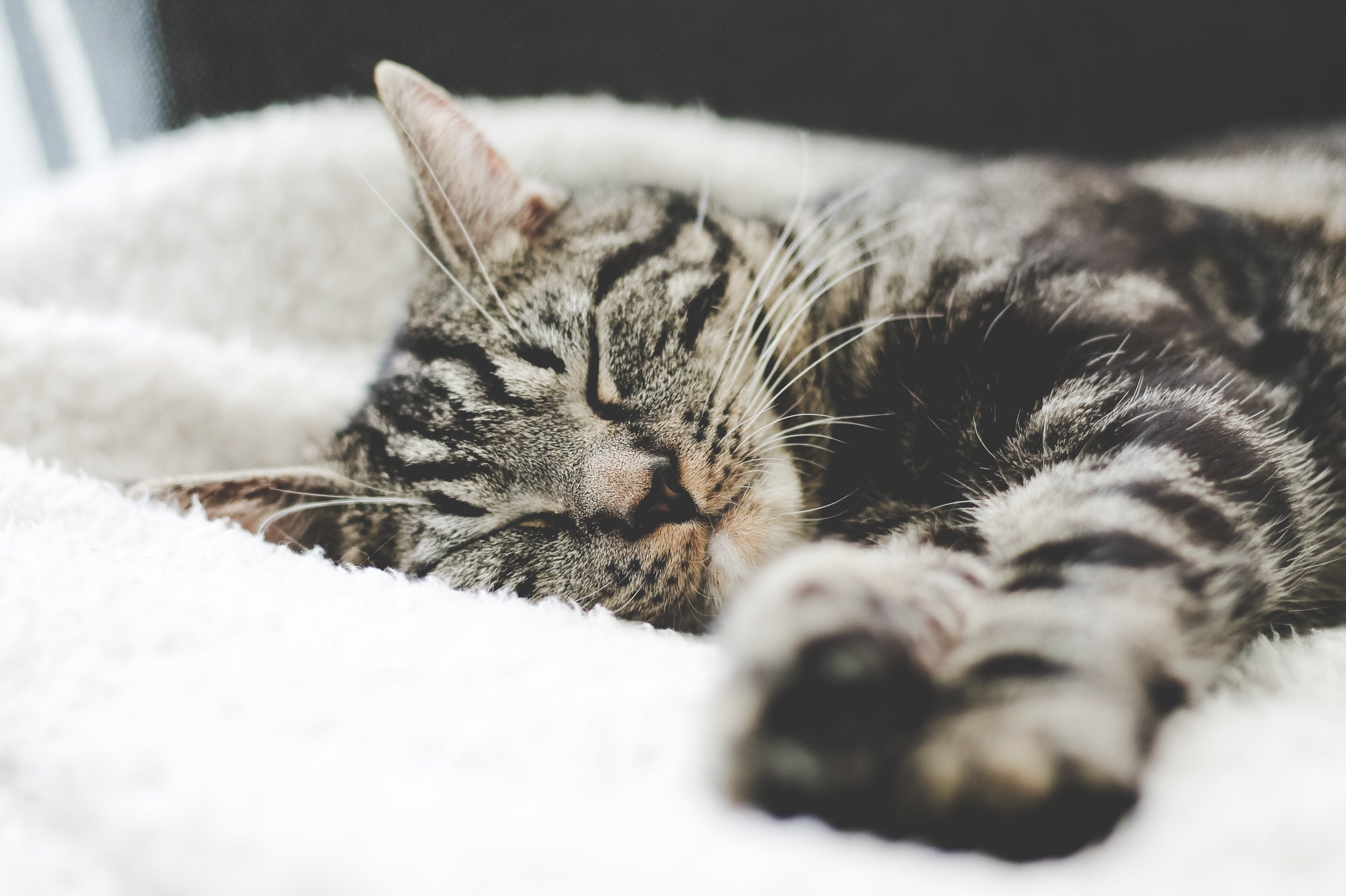 5 Bedtime Relaxation Techniques for Better Sleep