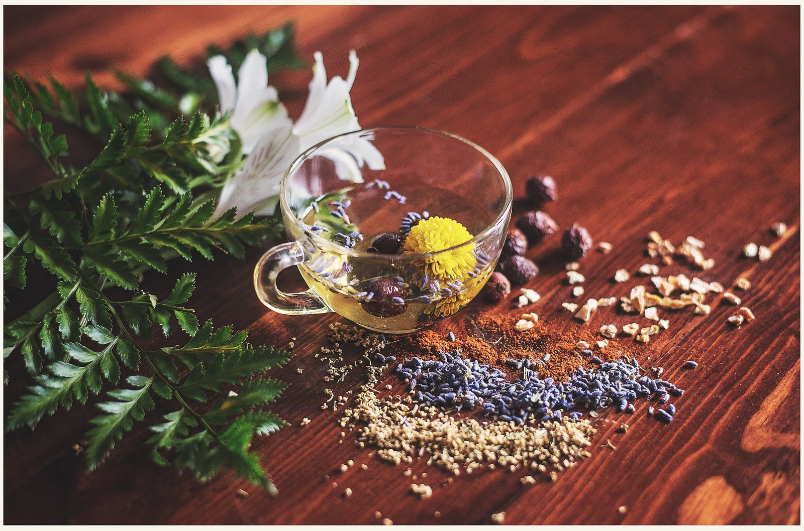 Adaptogen herbs